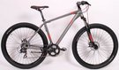 Kenzel bicycles Dviratis