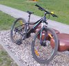 TREK Dviratis
