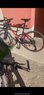 HAIBIKE Dviratis