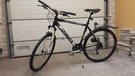 Unibike Dviratis