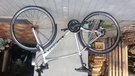 Specialized Dviratis