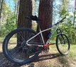 SPECIALIZED Dviratis