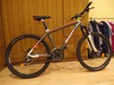 Scott Scale 50 Dviratis