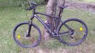 Orbea Dviratis