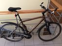 FUJI Dviratis