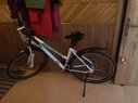 Unibike Dviratis