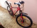 Trek Dviratis