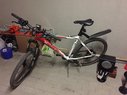 TREK Dviratis