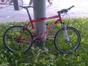 Specialized  Dviratis